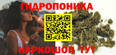 a pvp Рузаевка