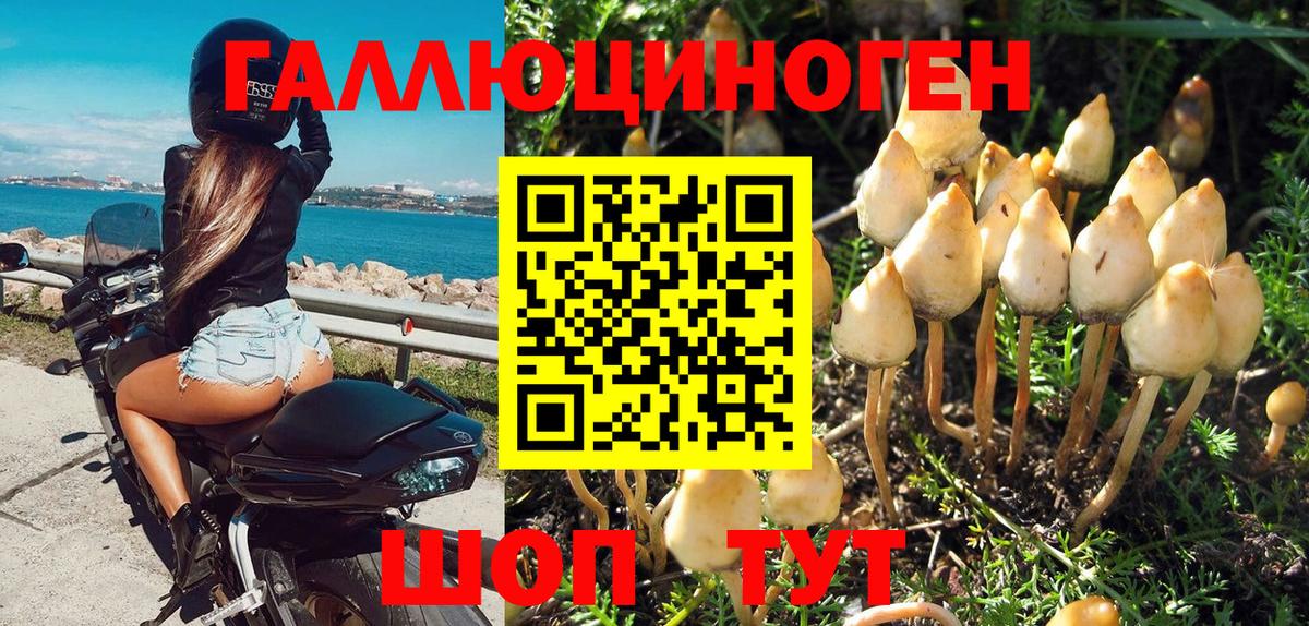 Ростов Великий  Псилоцибиновые грибы мицелий  Вход с VPN 